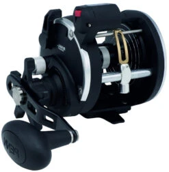 PENN RIVAL LEVEL WIND Rechtshand 11 PENN RIVAL LEVEL WIND Rechtshand -Top-Shop Für Angelausrüstung 1404003a5Bj3T4MsS8MM 1280x1280