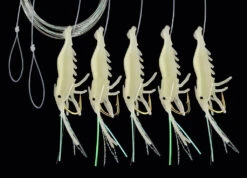 DEGA Makrelen-Shrimp Vorfach -Top-Shop Für Angelausrüstung 7701002 01 1280x1280