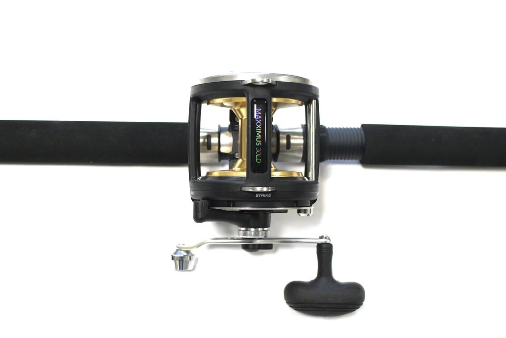 FLADEN Warbird / Maxximus Meeres-Ruten-Rollenkombo 5 FLADEN Warbird / Maxximus Meeres-Ruten-Rollenkombo – Bild 3